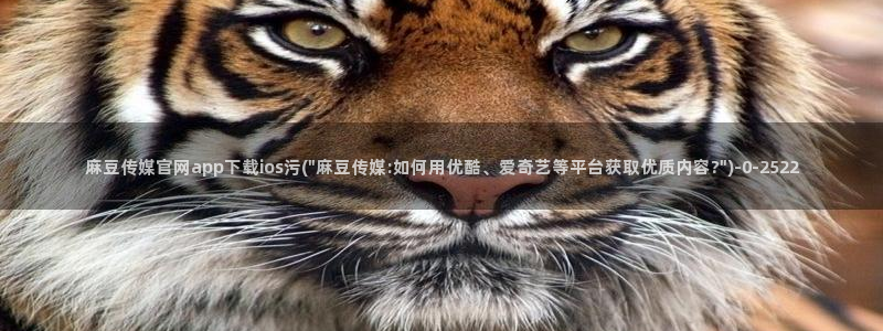 麻豆传媒官网版下载:麻豆传媒官网app下载ios污(\